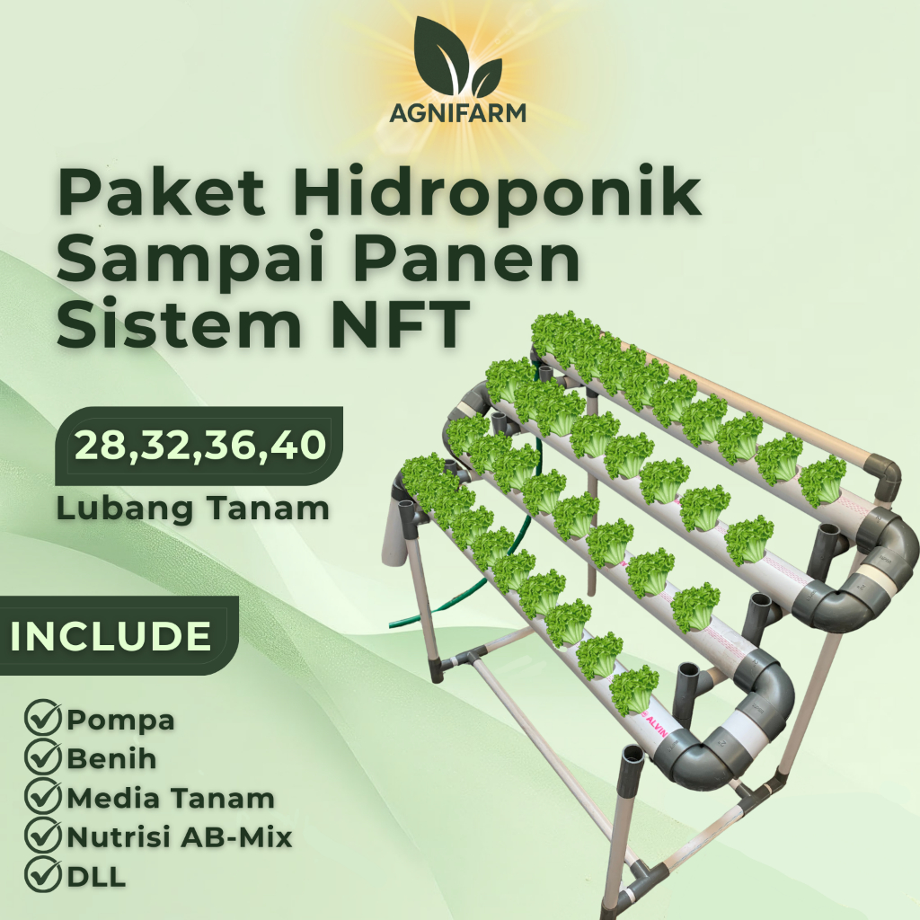 Paket Lengkap Instalasi Hidroponik NFT Skala Rumahan